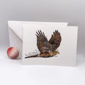 Carte postale - pioupiou – Image 4