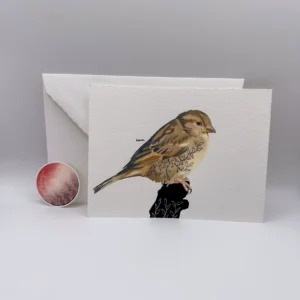 Carte postale - pioupiou – Image 2