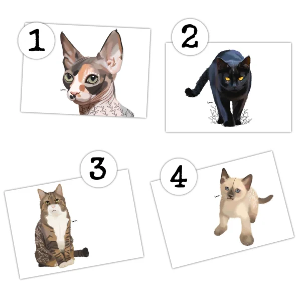 Carte postale - Miaow